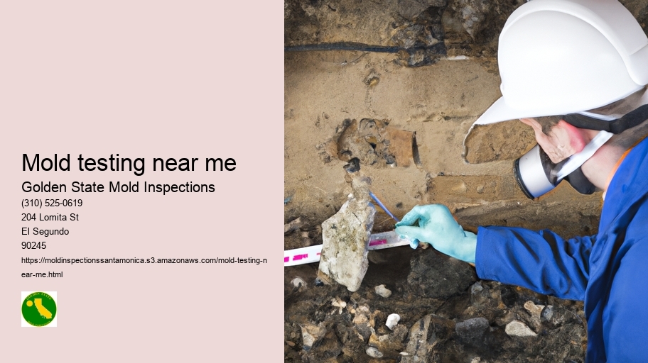 Mold testing near me